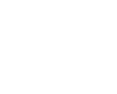 Christchurch Academy of Dance logo