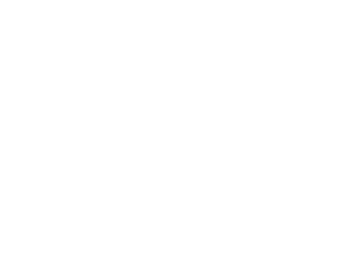 Onewheel In The Middle logo